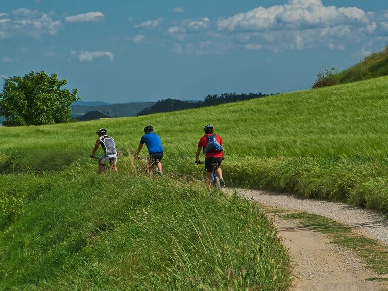 Drei Radfahrer sind mit ihren Bikes zwischen grünen Wiesen in Niederbayern unterwegs.